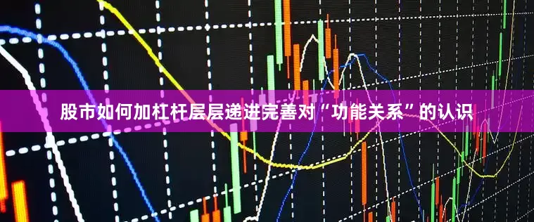 股市如何加杠杆层层递进完善对“功能关系”的认识