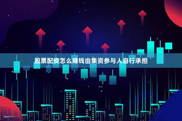 股票配资怎么赚钱由集资参与人自行承担