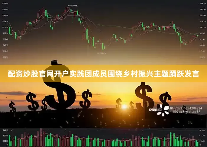 配资炒股官网开户实践团成员围绕乡村振兴主题踊跃发言